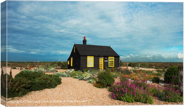 Dungeness Isolation Garden Canvas Print by Tom Lloyd