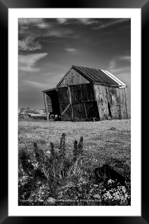 Nostalgic Dungeness Coast Black & White Framed Mounted Print by Tom Lloyd