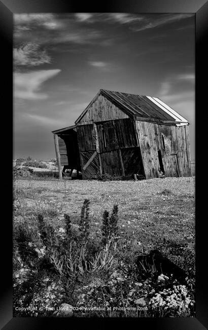 Nostalgic Dungeness Coast Black & White Framed Print by Tom Lloyd