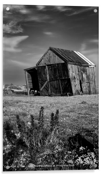 Nostalgic Dungeness Coast Black & White Acrylic by Tom Lloyd