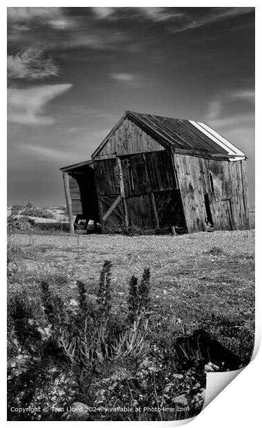 Nostalgic Dungeness Coast Black & White Print by Tom Lloyd