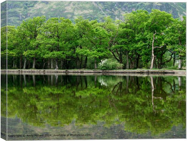Crummock Water Reflections Canvas Print by Andy Millard