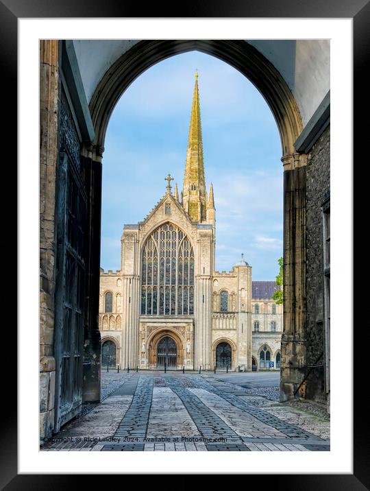 Norwich Cathedral Architecture Framed Mounted Print by Rick Lindley