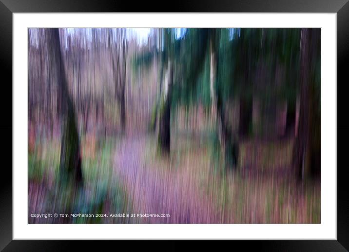 Abstract, Dreamy, Autumn Trees Framed Mounted Print by Tom McPherson