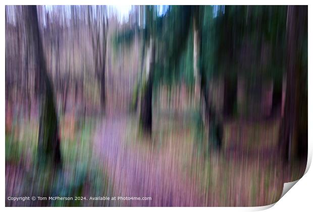 Abstract, Dreamy, Autumn Trees Print by Tom McPherson