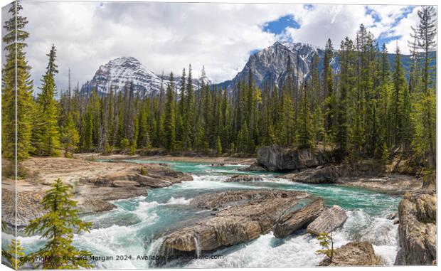 Jasper Mountain River Canvas Print by Richard Morgan