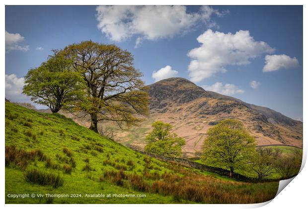 Cumbrian Elelments Print by Viv Thompson