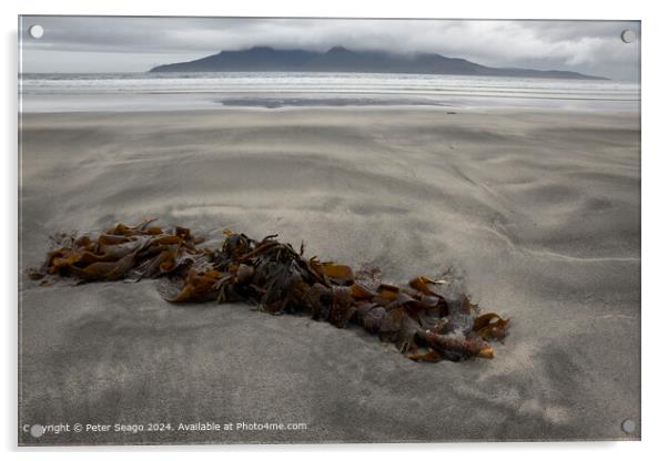Laig Beach, Eigg, Sand and Sea Acrylic by Peter Seago