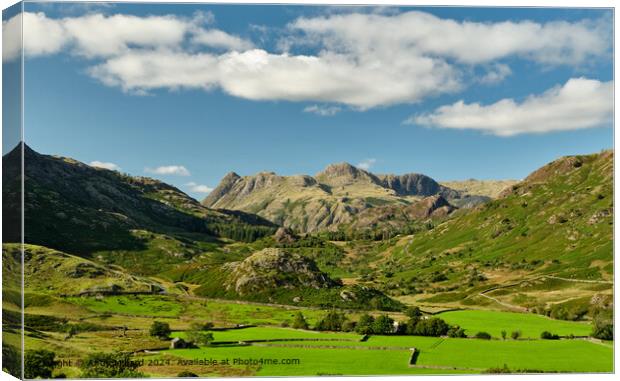 Langdale Pikes Green Fields Canvas Print by Andy Millard
