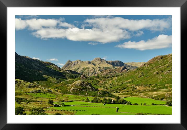 Langdale Pikes Green Fields Framed Mounted Print by Andy Millard