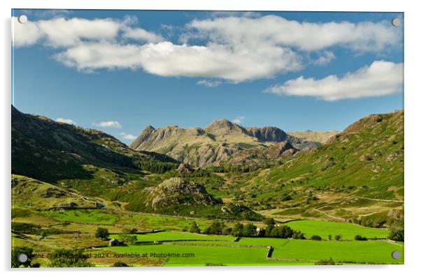 Langdale Pikes Green Fields Acrylic by Andy Millard