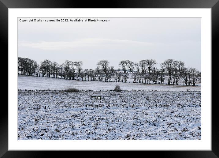 snowy winter scene 2 Framed Mounted Print by allan somerville