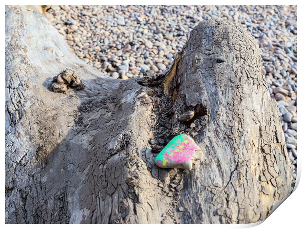 Clevedon Beach Driftwood and Pebble Colour Print by Martin fenton