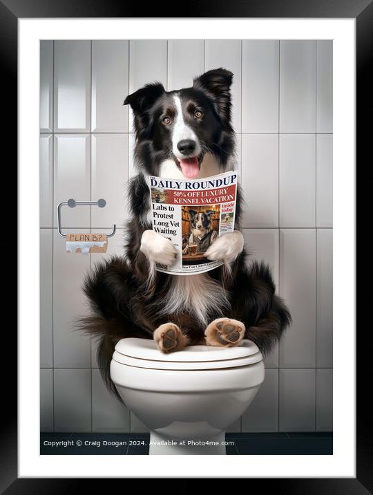 Border Collie Dog on the Toilet Framed Mounted Print by Craig Doogan