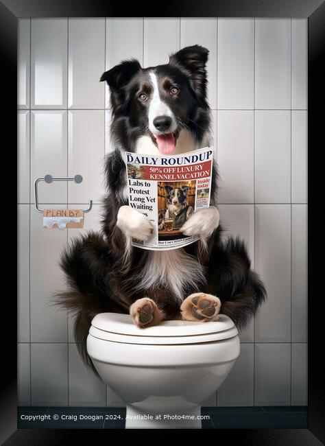 Border Collie Dog on the Toilet Framed Print by Craig Doogan