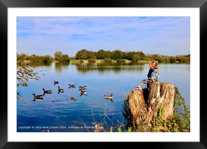 Serene Lake Reflection Landscape Framed Mounted Print by Alice Rose Lenton