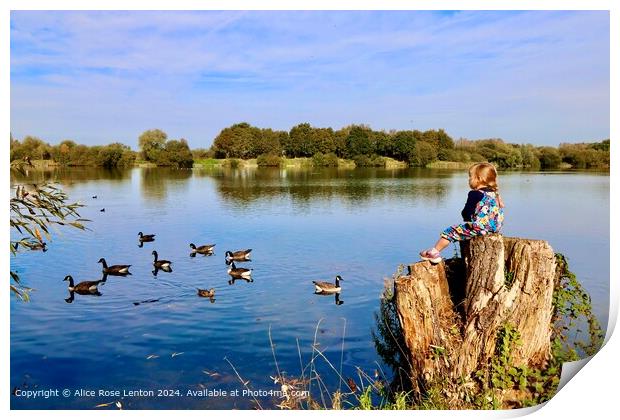 Serene Lake Reflection Landscape Print by Alice Rose Lenton