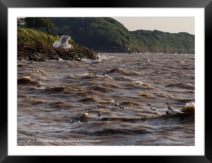 Clevedon Bay Seagulls Framed Mounted Print by Martin fenton