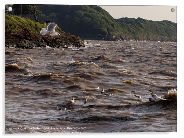 Clevedon Bay Seagulls Acrylic by Martin fenton