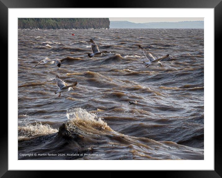 Seabirds over Clevedon Coastline Framed Mounted Print by Martin fenton