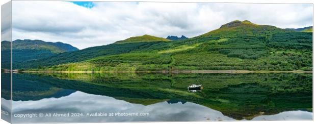 Tranquil Loch Long Panorama Canvas Print by Ali Ahmed