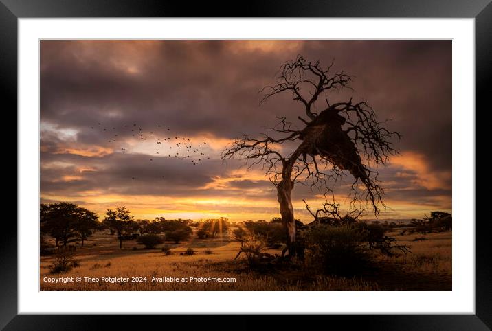 Kalahari Sunset Framed Mounted Print by Theo Potgieter