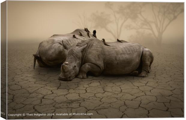 Rhino's waiting for the Rain Canvas Print by Theo Potgieter