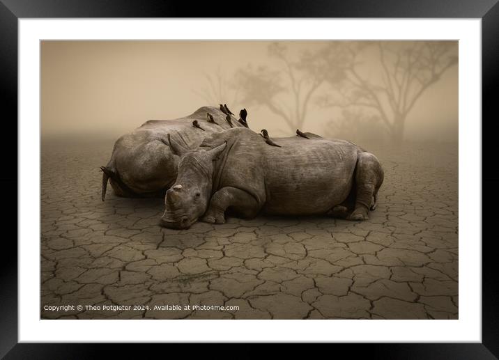 Rhino's waiting for the Rain Framed Mounted Print by Theo Potgieter