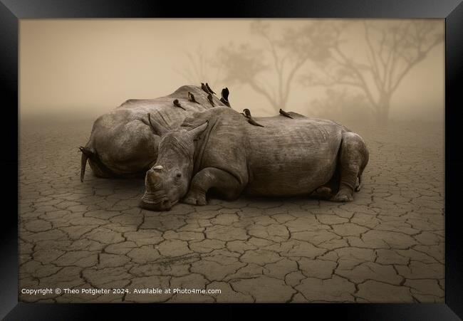 Rhino's waiting for the Rain Framed Print by Theo Potgieter