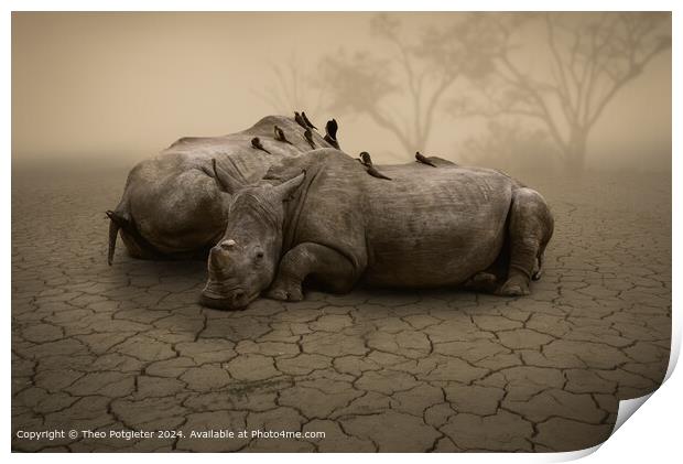 Rhino's waiting for the Rain Print by Theo Potgieter