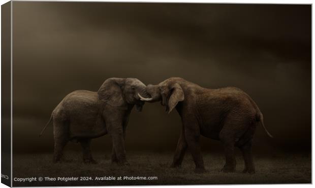 African Elephant Bulls Clash Canvas Print by Theo Potgieter
