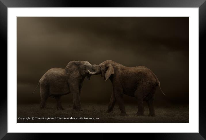 African Elephant Bulls Clash Framed Mounted Print by Theo Potgieter