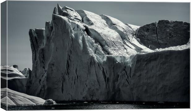 Greenland Icebergs Glare Canvas Print by Tom Lloyd