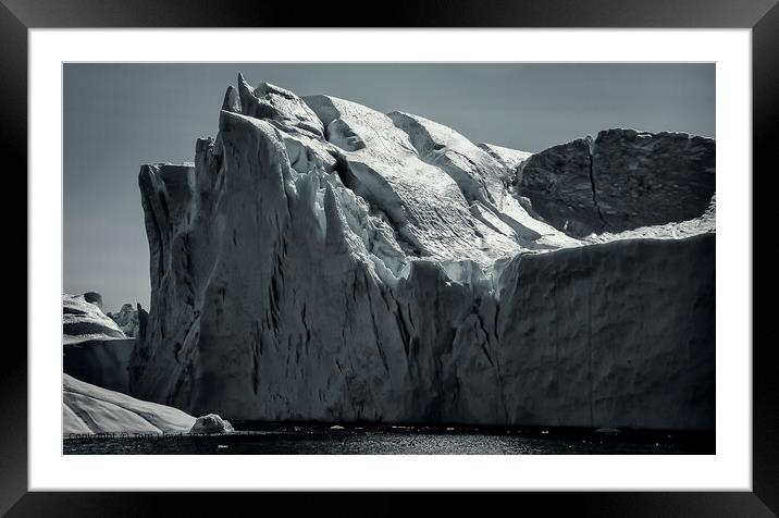 Greenland Icebergs Glare Framed Mounted Print by Tom Lloyd