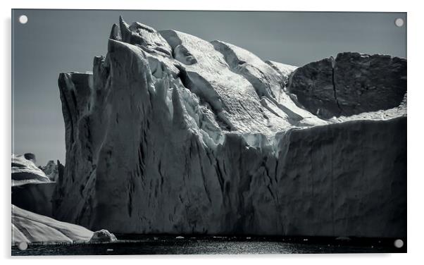 Greenland Icebergs Glare Acrylic by Tom Lloyd