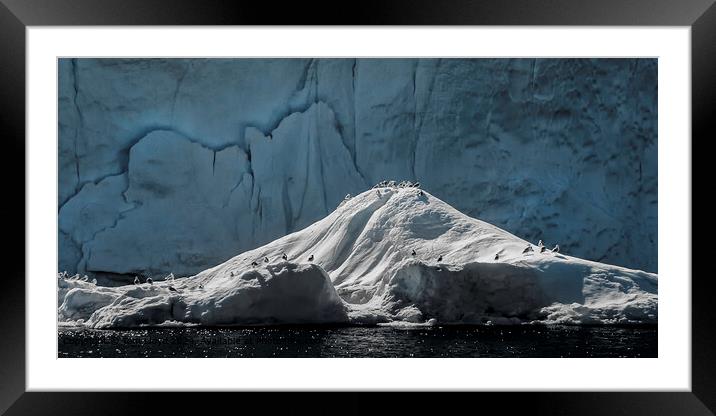 Icebergs, Sea, Greenland Landscape Framed Mounted Print by Tom Lloyd