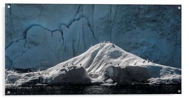 Icebergs, Sea, Greenland Landscape Acrylic by Tom Lloyd