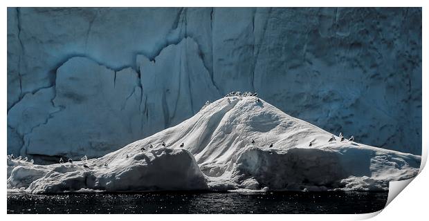 Icebergs, Sea, Greenland Landscape Print by Tom Lloyd
