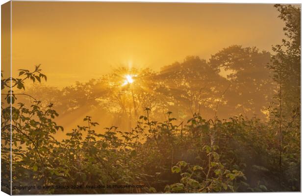 Golden dawn through the trees Canvas Print by Kenn Sharp