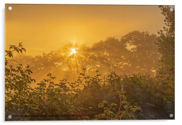 Golden dawn through the trees Acrylic by Kenn Sharp