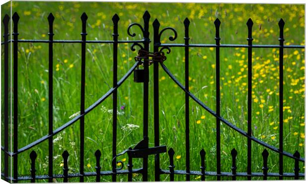 Meadow Gate Abstract Canvas Print by Tom Lloyd
