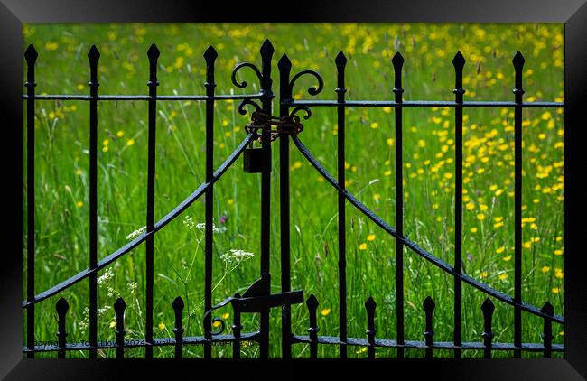 Meadow Gate Abstract Framed Print by Tom Lloyd