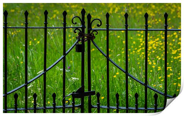 Meadow Gate Abstract Print by Tom Lloyd