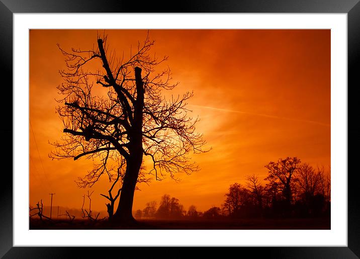 Maybe I'll Catch Fire Framed Mounted Print by Stuart Chapman