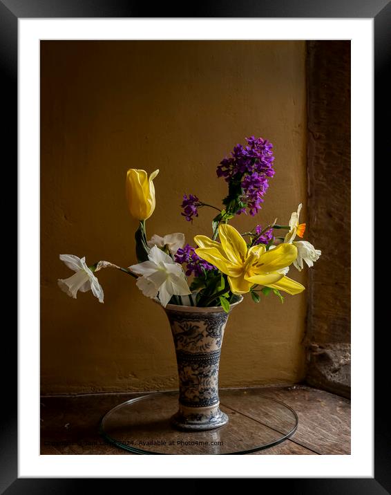 Blooming Lovely Framed Mounted Print by Tom Lloyd