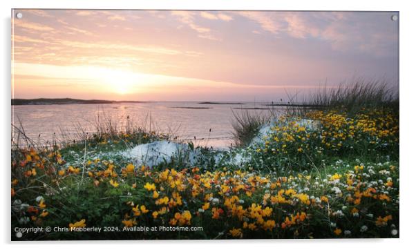 Sunset Flowers on North Uist Beach Acrylic by Chris Mobberley