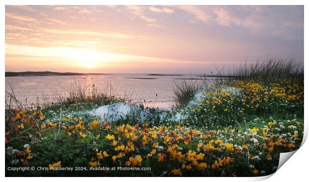 Sunset Flowers on North Uist Beach Print by Chris Mobberley