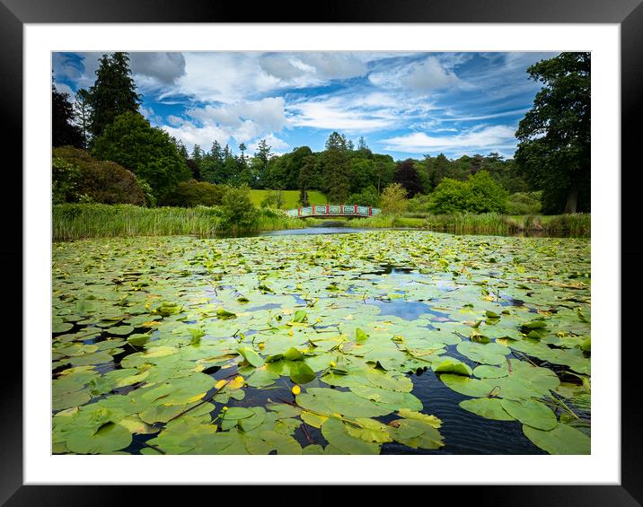 Dalswinton Loch Lilly Pads Framed Mounted Print by christian maltby