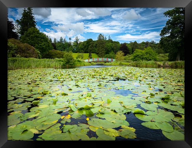 Dalswinton Loch Lilly Pads Framed Print by christian maltby