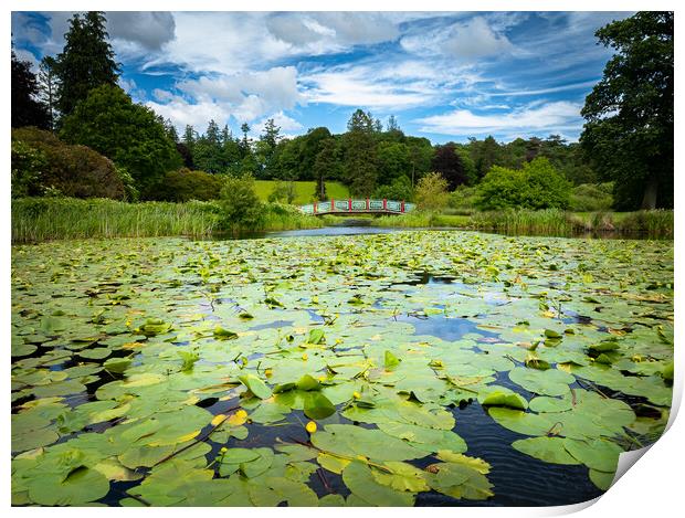 Dalswinton Loch Lilly Pads Print by christian maltby